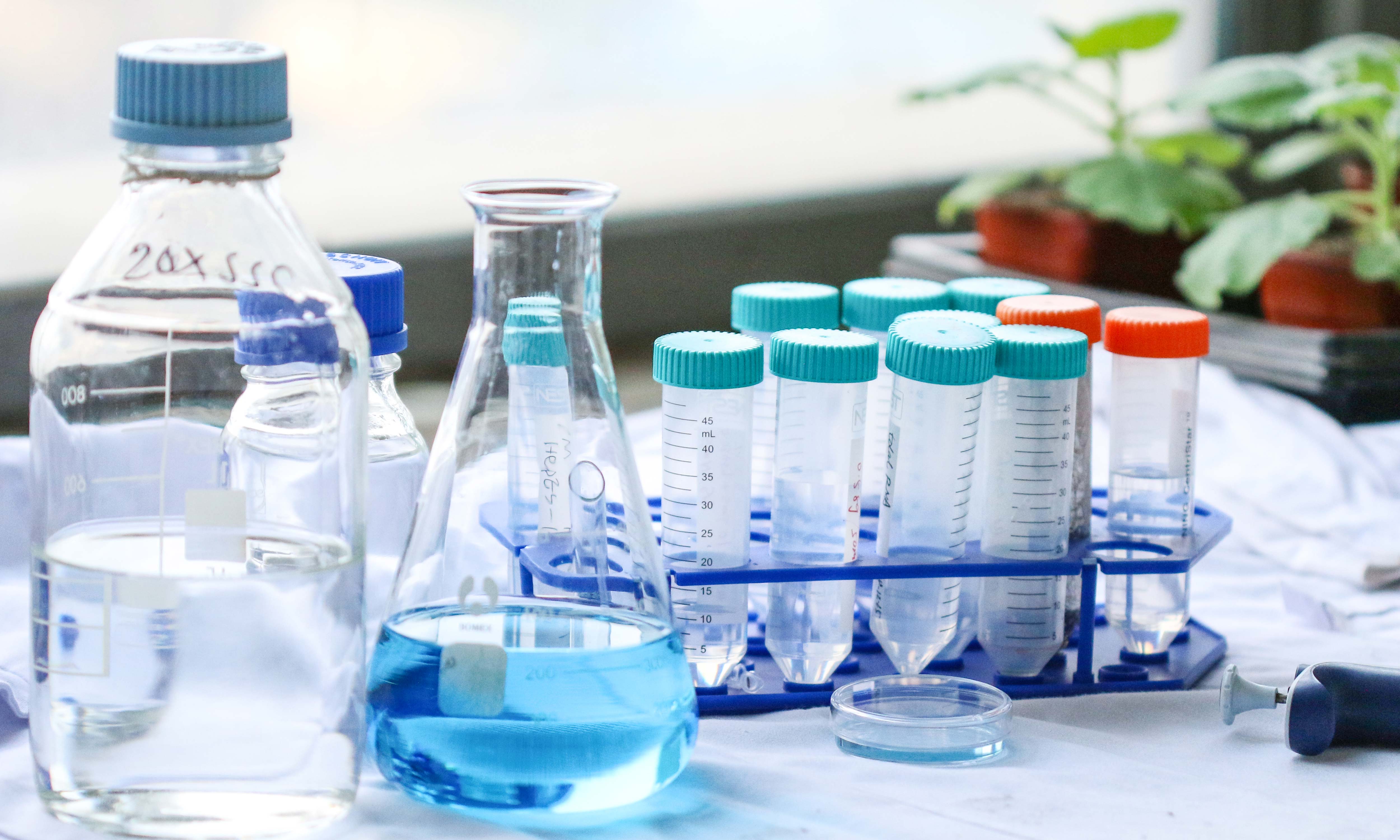 高效液相色譜法檢測(cè)丹參中丹參酮類(lèi)